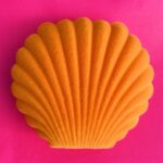 Sieradendoosje / opbergbakje `Schelp` oranje ( per stuk )