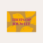 HeyDay ( voorheen DeQu ) Studio, kaart A6 `Trots op jouw lef`