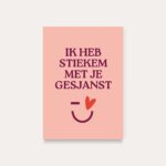 HeyDay ( voorheen DeQu ) Studio, kaart A6 `Ik heb stiekem met je gesjanst`