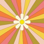 Studio Pippa, A6 kaart `Bloem gekleurde stralen roze geel oranje `