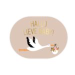 Sticker ovaal 43x59mm `Hallo lieve baby, ooievaar`  ( set van 10 stuks )