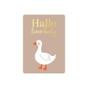 KP klein kaartje A7 , `Hallo lieve baby` gansje goose