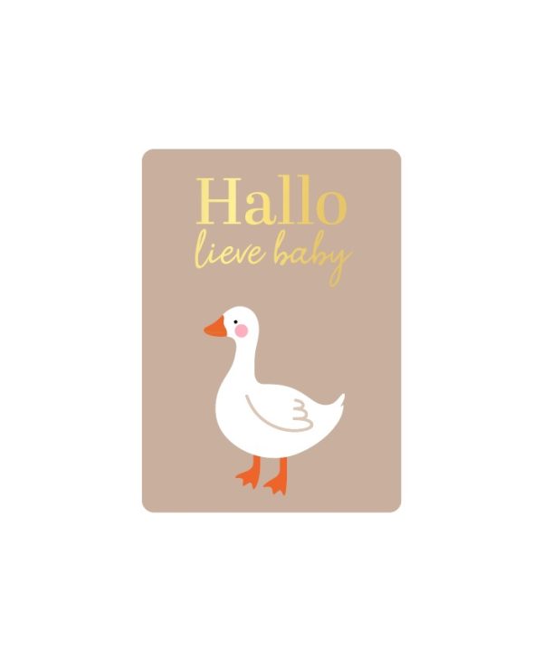 KP klein kaartje A7 , `Hallo lieve baby` gansje goose - Afbeelding 1