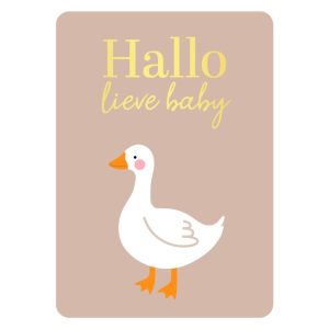 KP Kaart A6 `Hallo lieve baby` gansje goose