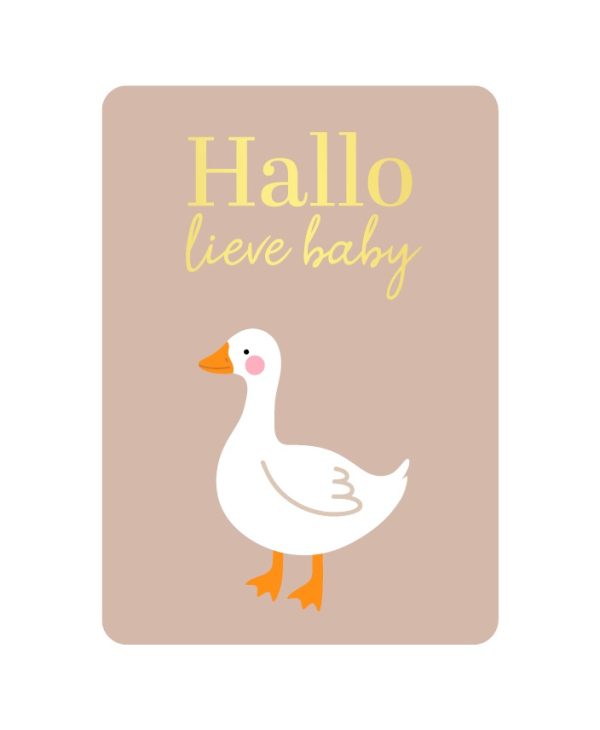 KP Kaart A6 `Hallo lieve baby` gansje goose - Afbeelding 1