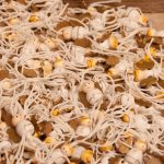 Decoratie engeltjes gelukshangertjes goud met wit ( +/_) 15mm , per 4 stuks - Afbeelding 2