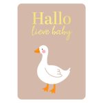 KP kaart A6 `Hallo lieve baby` gansje